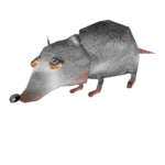 |¥|The Rats|¥|