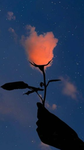 ୨⎯ avatar ranking staff ⎯୧