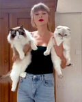 The Roblox kittens group!