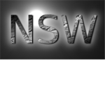 The Night Shadow Warriors