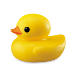 The #DUCKSQUAD