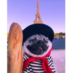 #Paris Squad
