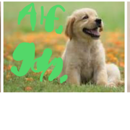 Cute Alfonso’s gang