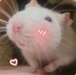 Pips UGC