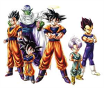 The Z Fighters (saiyans included)