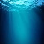 Oceanic Apparel