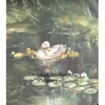||duck family||