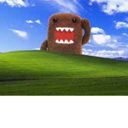 Live Laugh Domo