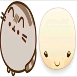 Pusheen enthusiasts