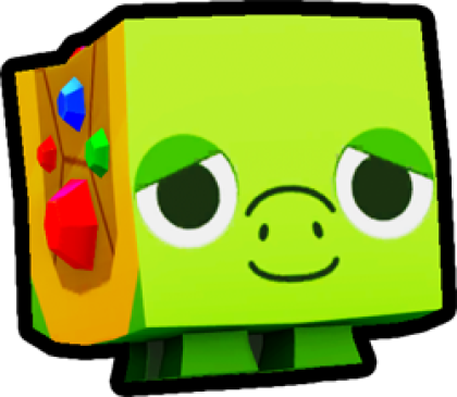 Treasure Turtle