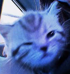 curemys0rr0wz