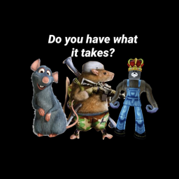 Rat test