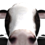 nellie the cow fanpage