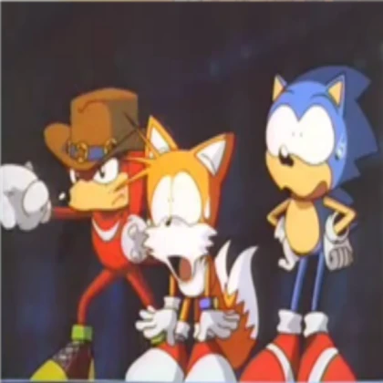Sonic & Tails DERP
