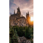 :*The Kingdom*: