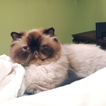 Juliette