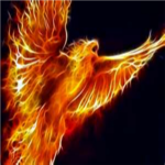 The Firehawk Militia