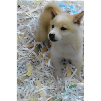 (GRAND OPENING) BOYS AND GIRLS HANGOUT