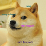 hy guys this is the doge fan group