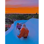 p i g s