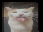 Pog pog pog pog pog pog!!!!!!!!!!!!!!!!!!!!!!!!!!!