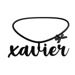 xavier 3.0