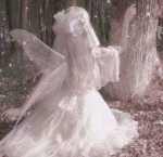 ʚ WING RIDDEN ANGEL ɞ