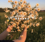 ⋆sunshines⋆