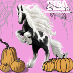 Blossom Equine Academy