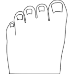 NINE TOES