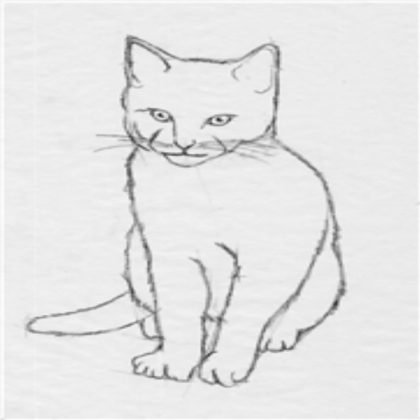 Cat Roblox decal