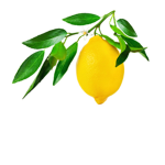 lemon leaf