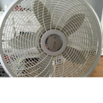 Yo-yo fan club