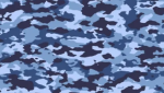 Camo's_group