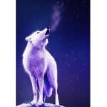 Snowy the fox _Wc