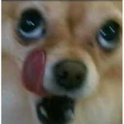 시골 베타 후속작 '골목' icon