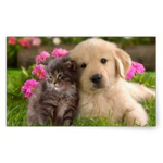 Love Yor Pet!
