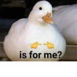 Meme lordsSUPER