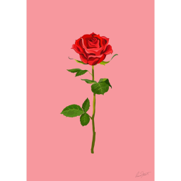 Rose Obby