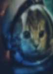 Astro Kitty Maddness