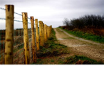 Brickston County