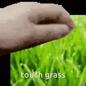 touch grass
