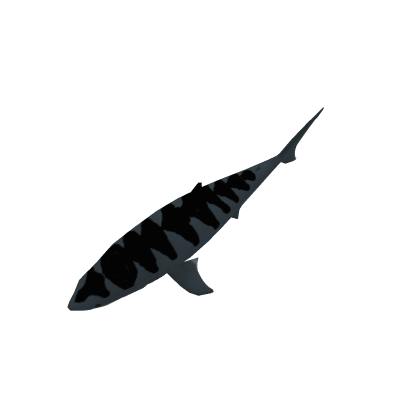 Tiger shark