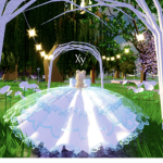 Xy’s group