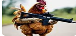 Chicken Army Fighters