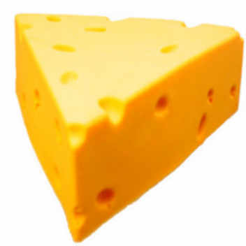 funni house (half birda part )