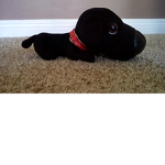 The dog can Group