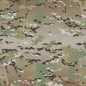 Basic Training