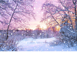 Winter~