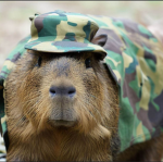 Capybara-army